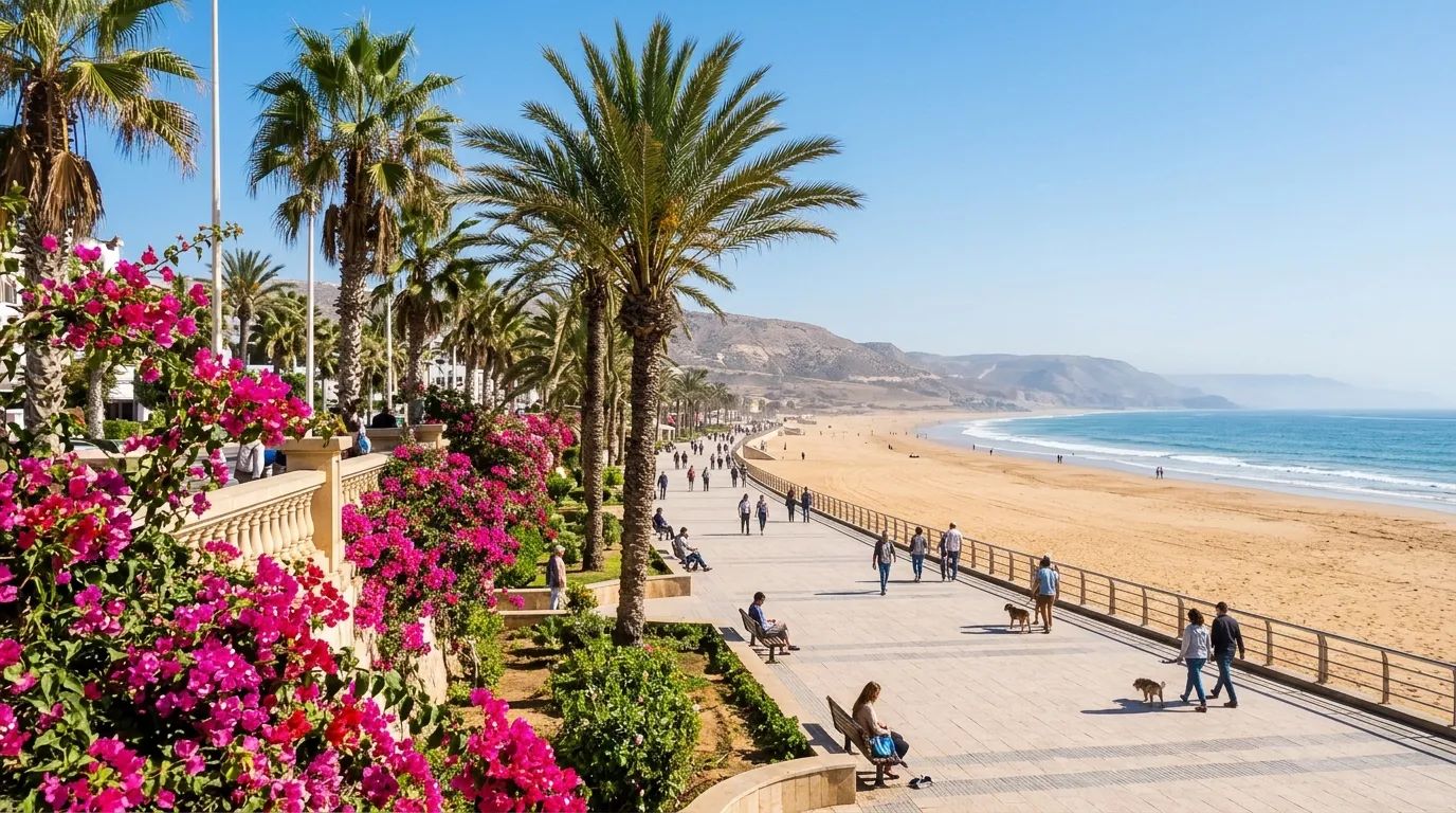 Promenade du front de mer d’Agadir au printemps, bougainvilliers en fleur et palmiers